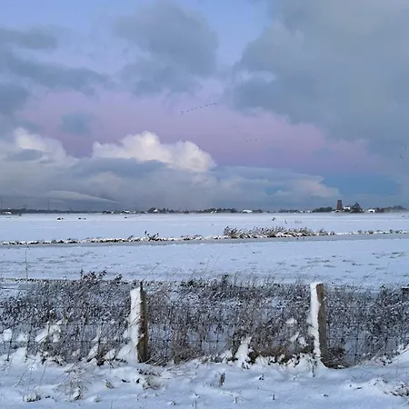 Lovely House In Durgerdam Vakantiehuis Amsterdam